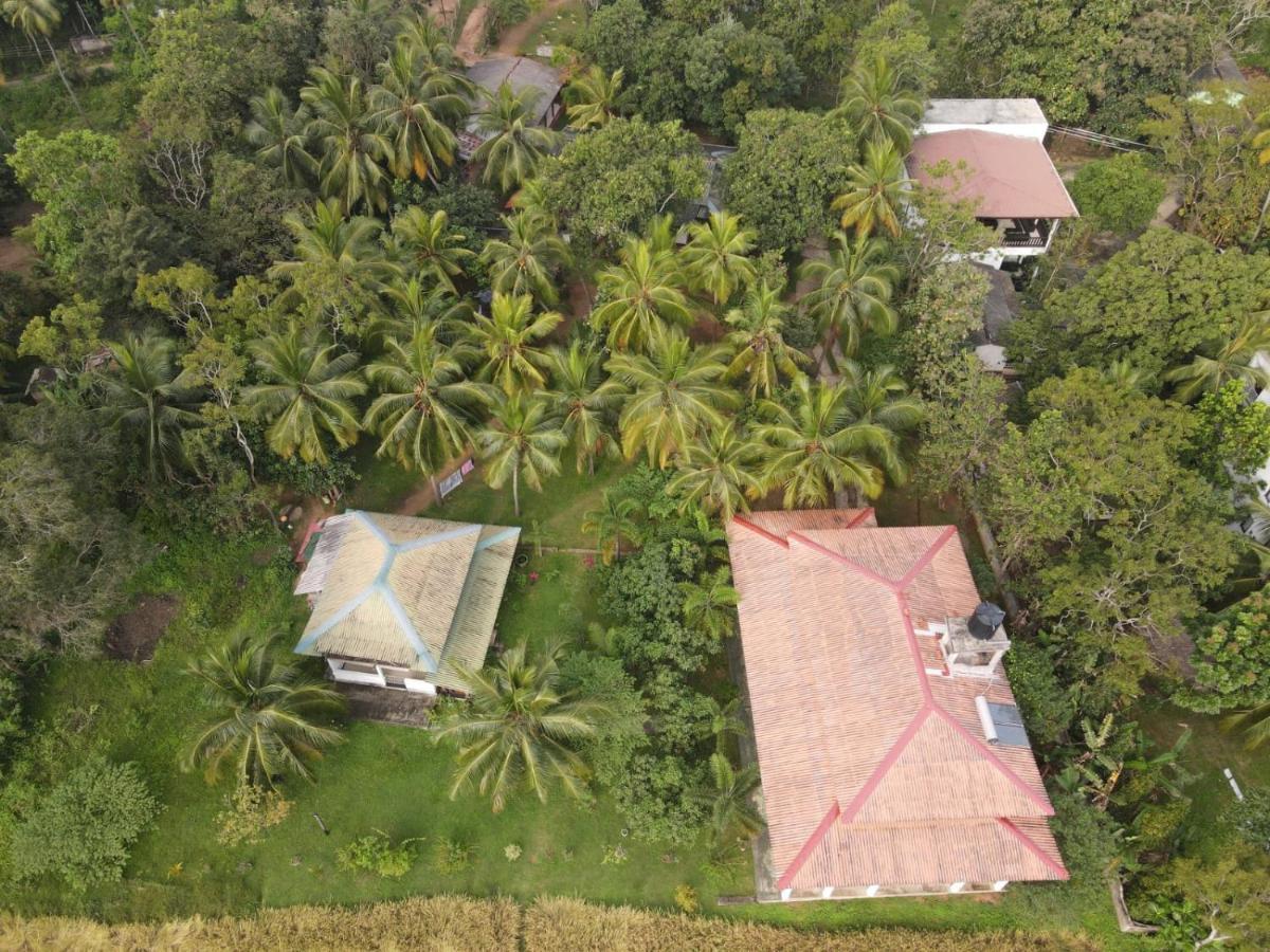 Castle View Sigiriya Hotel Exterior photo